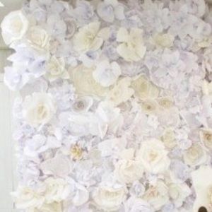 Meet your Posher, Tawny